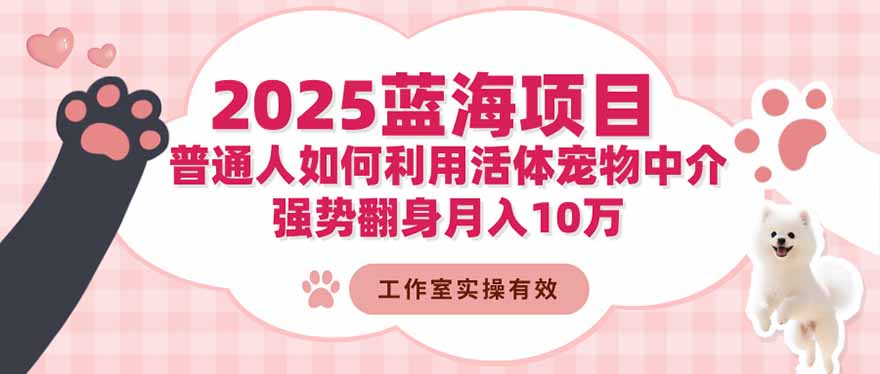 2025蓝海项目：普通人如何利用活体宠物中介，强势翻身月入10万-87副业网 - 互联网副业项目资源分享平台