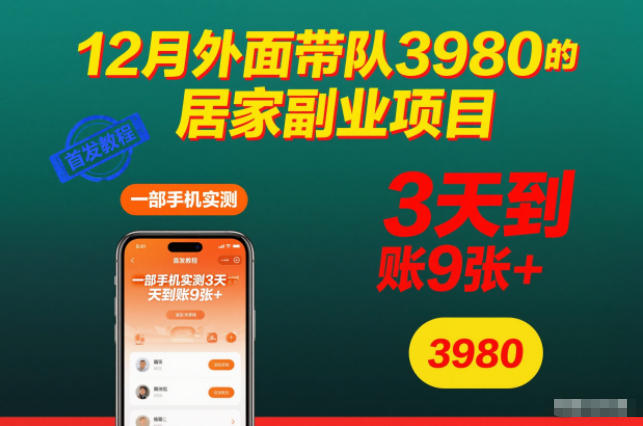 12月外面带队3980的居家副业项目，一部手机实测3天到账9张+，首发教程【揭秘】-87副业网 - 互联网副业项目资源分享平台