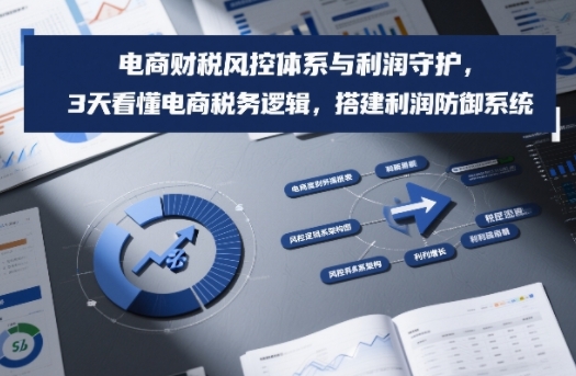 电商财税风控体系与利润守护，3天看懂电商税务逻辑，搭建利润防御系统-87副业网 - 互联网副业项目资源分享平台