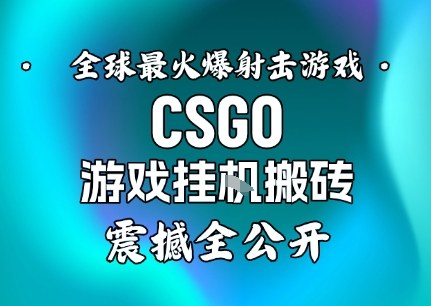 【年底大揭秘】基于全球最火爆的射击CSGO游戏挂G搬砖，日入5张+，震撼公开-87副业网 - 互联网副业项目资源分享平台