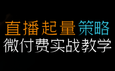 半野老师·直播带货起量与微付费必学课视频号(更新2026)-87副业网 - 互联网副业项目资源分享平台