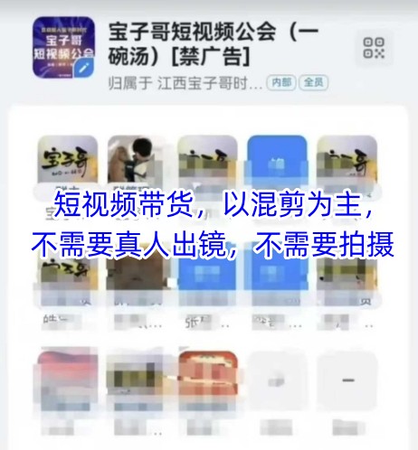 宝子哥头部团队短视频带货，以混剪为主，不需要真人出镜，不需要拍摄【更新26年1月】-87副业网 - 互联网副业项目资源分享平台