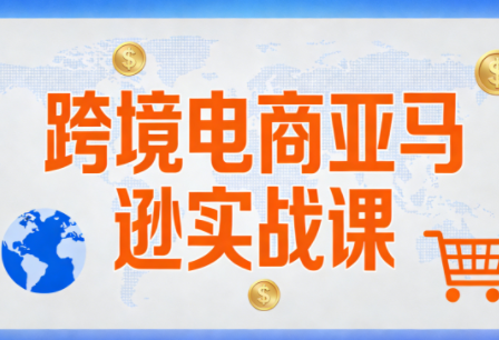 丝丝老师·跨境电商亚马逊实战课(更新2月)-87副业网 - 互联网副业项目资源分享平台