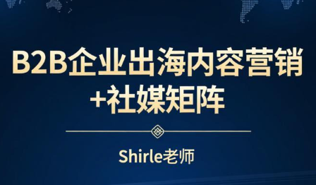 shirle老师·B2B企业出海内容营销+社媒矩阵-87副业网 - 互联网副业项目资源分享平台