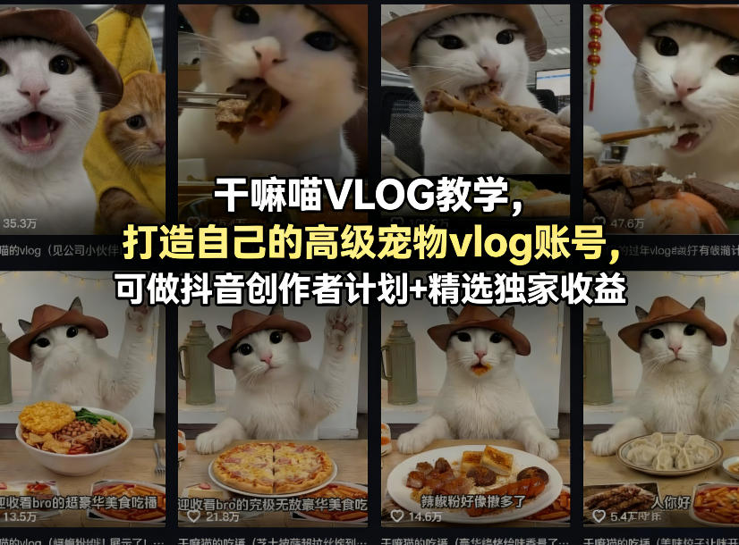 干嘛喵VLOG教学，打造自己的高级宠物vlog账号，可做抖音创作者计划+精选独家收益-87副业网 - 互联网副业项目资源分享平台