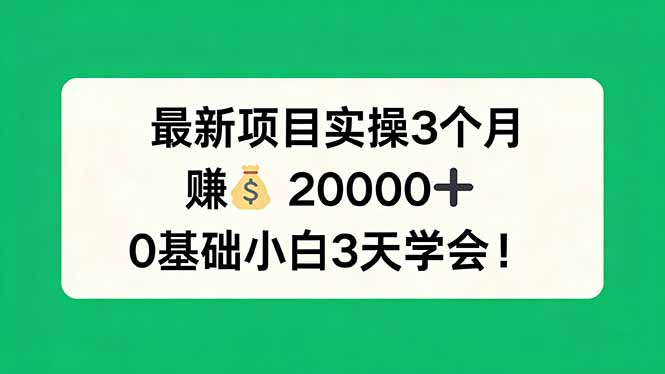 最新项目实操3个月，赚钱20000+，0基础小白3天学会！-87副业网 - 互联网副业项目资源分享平台