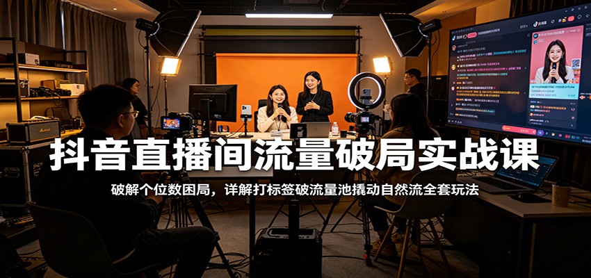 抖音直播间流量破局实战课：破解个位数困局，详解打标签破流量池撬动自然流全套玩法-87副业网 - 互联网副业项目资源分享平台