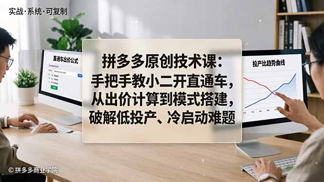 拼多多原创技术课：手把手教小二开直通车，从出价计算到模式搭建，破解低投产、冷启动难题-87副业网 - 互联网副业项目资源分享平台