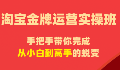 飓风电商·淘宝金牌运营实操班-87副业网 - 互联网副业项目资源分享平台