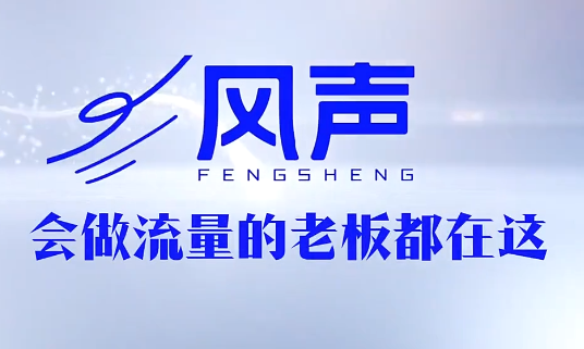 董十一·风声短视频AI获客年度会员-87副业网 - 互联网副业项目资源分享平台