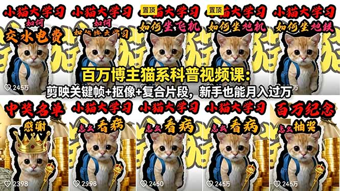 百万博主猫系科普视频课:剪映关键帧+抠像+复合片段,新手也能月入过万-87副业网 - 互联网副业项目资源分享平台