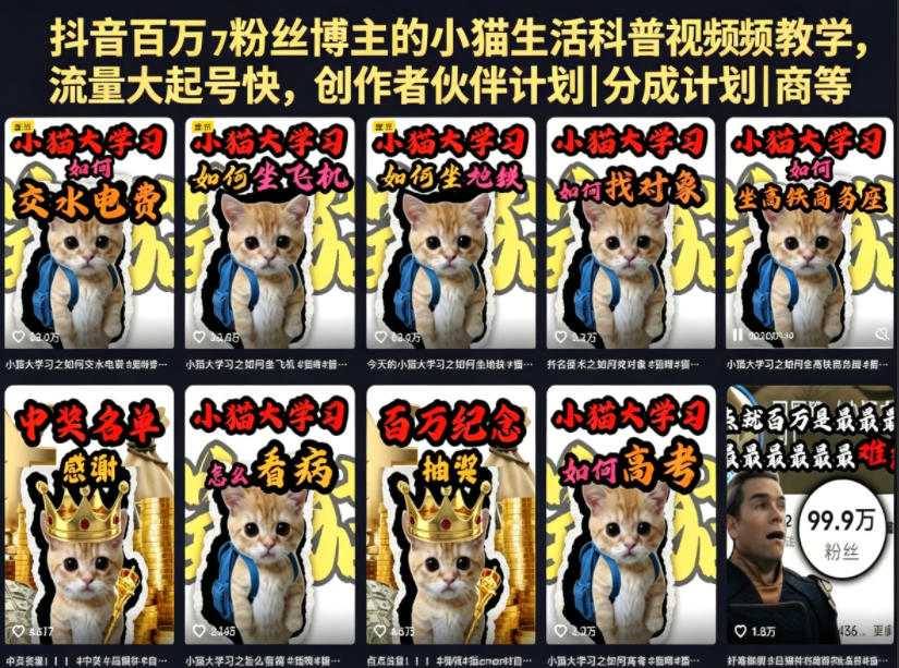 抖音百万粉丝博主的小猫生活科普视频教学,流量大起号快,创作者伙伴计划|分成计划|商单|收徒等-87副业网 - 互联网副业项目资源分享平台