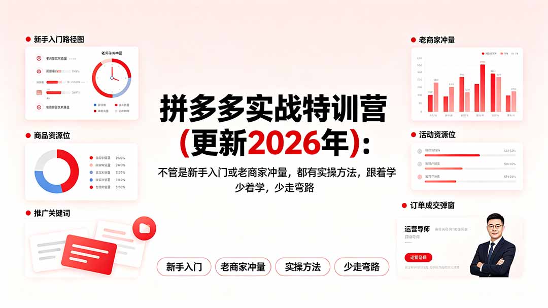 拼多多实战特训营(更新2026年-87副业网 - 互联网副业项目资源分享平台