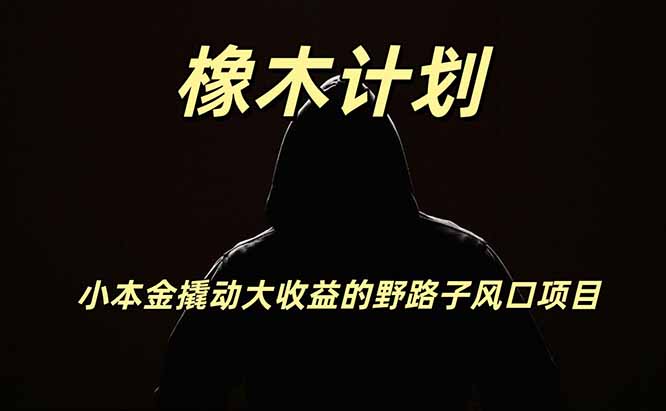 橡木计划，小投入撬动高回报的风口野路子项目，一天投入2小时左右-87副业网 - 互联网副业项目资源分享平台