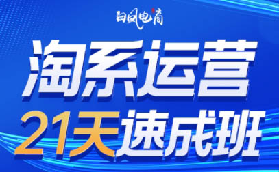 白凤电商·淘系运营21天速成班(更新8月)-87副业网 - 互联网副业项目资源分享平台