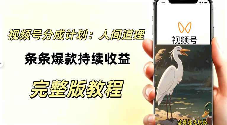 视频号新玩法之AI动漫画风励志视频，不用会画画、不用拍摄，持续化收益，详细拆解 - 87副业网