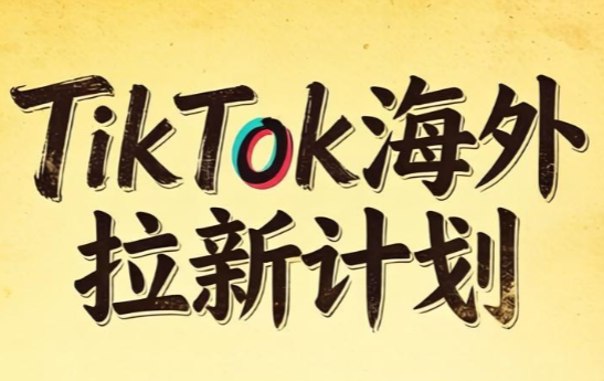 Tc联盟·TikTok海外拉新项目(更新9月)-87副业网 - 互联网副业项目资源分享平台