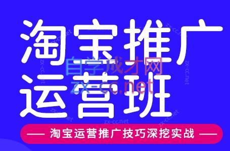 美迪电商·淘宝高级运营班+推广运营班(更新9月)-87副业网 - 互联网副业项目资源分享平台