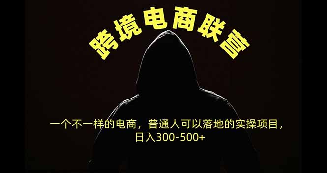 跨境电商联营，一个不一样的电商，普通人可操作日入300-500+ - 87副业网