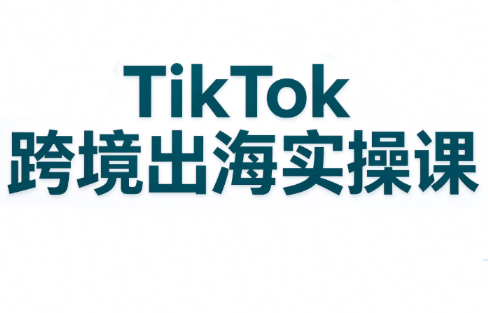 彭老师·TikTok跨境出海实操课-87副业网 - 互联网副业项目资源分享平台