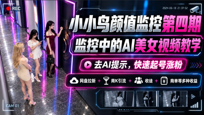 小小鸟颜值监控第四期,监控中的AI美女视频教学,去AI提示,快速起号涨粉,网盘拉新+商K引流+收徒+商单等多种收益-87副业网 - 互联网副业项目资源分享平台